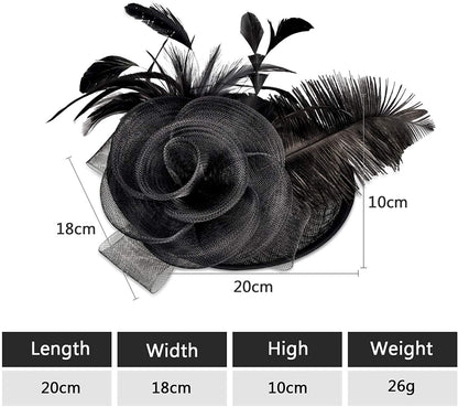 Women's Fascinator Vintage Bridal Wedding Veil Lace Feather Mesh Costume Headpiece