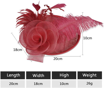 Women's Fascinator Vintage Bridal Wedding Veil Lace Feather Mesh Costume Headpiece