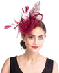 Women's Fascinator Vintage Bridal Wedding Veil Lace Feather Mesh Costume Headpiece