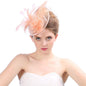 Women's Fascinator Vintage Bridal Wedding Veil Lace Feather Mesh Costume Headpiece